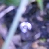 Abstract; Publicdomain; Cc0; Freeimage;