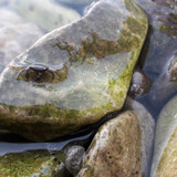 Crabs; Publicdomain; Cc0; Freeimage;