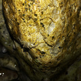 Crabs; Publicdomain; Cc0; Freeimage;