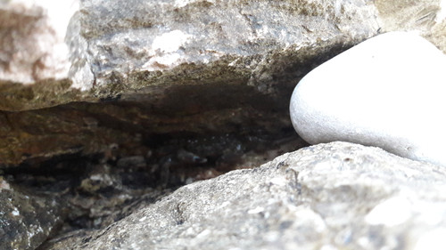 Crabs; Publicdomain; Cc0; Freeimage;.jpg