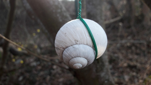 Garden At Austria.jpg