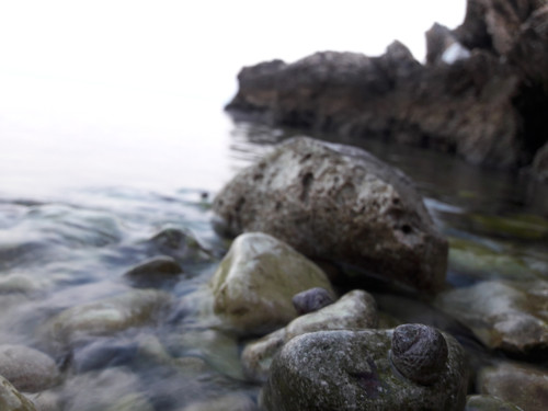Waters And Shells Of The Sea.jpg