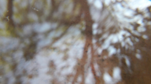 Abstract; Publicdomain; Cc0; Freeimage;.jpg