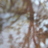 Abstract; Publicdomain; Cc0; Freeimage;