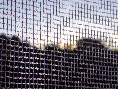 Abstract; Publicdomain; Cc0; Freeimage;.jpg