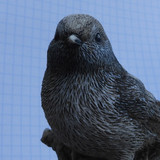 Fauna Bird Publicdomain (25)