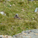 Mountain Grossglockner Of Austria