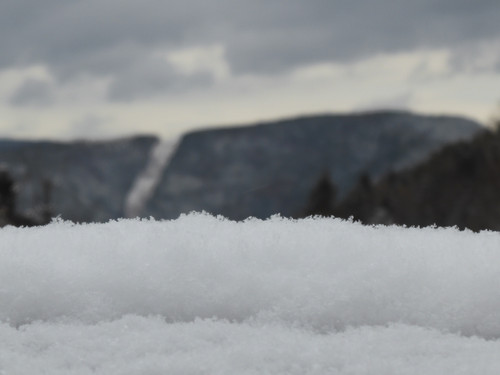 Snow; Publicdomain; Cc0; Freeimage;.jpg