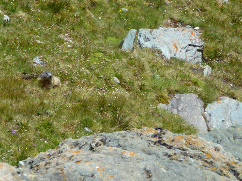 Mountain Grossglockner Of Austria.jpg