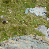 Mountain Grossglockner Of Austria