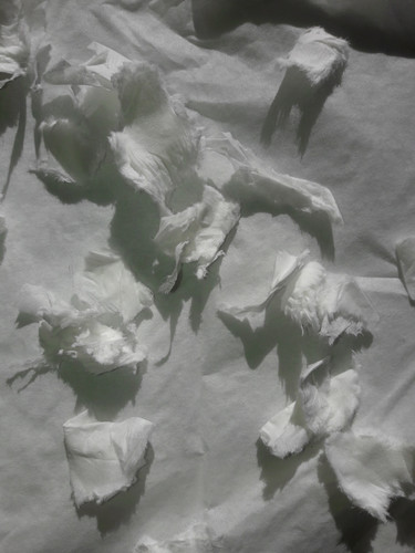 Abstract; Publicdomain; Cc0; Freeimage;.jpg