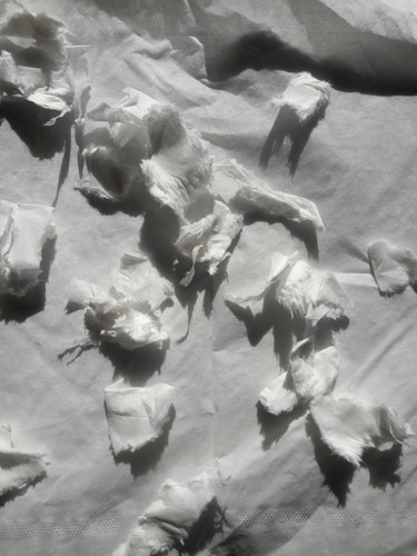 Abstract; Publicdomain; Cc0; Freeimage;.jpg