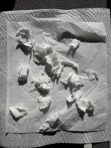 Abstract; Publicdomain; Cc0; Freeimage;.jpg