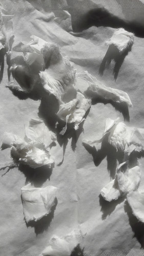 Abstract; Publicdomain; Cc0; Freeimage;.jpg