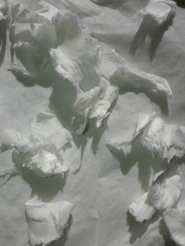 Abstract; Publicdomain; Cc0; Freeimage;.jpg