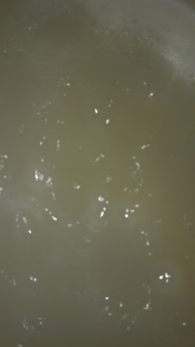 Abstract; Publicdomain; Cc0; Freeimage;.jpg