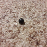 Abstract; Publicdomain; Cc0; Freeimage;