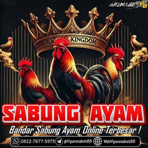 BANDAR SABUNG AYAM ONLINE TERPERCAYA | CLUB388.jpg