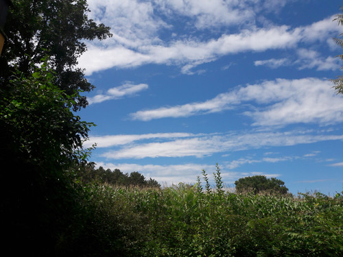 Landscape; Publicdomain; Cc0; Freeimage;.jpg