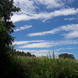 Landscape; Publicdomain; Cc0; Freeimage;