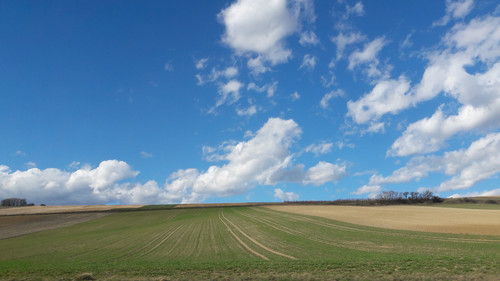 Landscape; Publicdomain; Cc0; Freeimage;.jpg