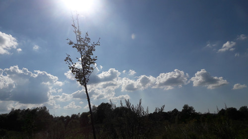 Landscape; Publicdomain; Cc0; Freeimage;.jpg