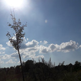 Landscape; Publicdomain; Cc0; Freeimage;