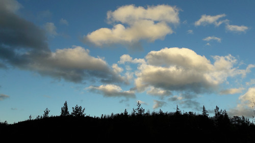 Landscape; Publicdomain; Cc0; Freeimage;.jpg