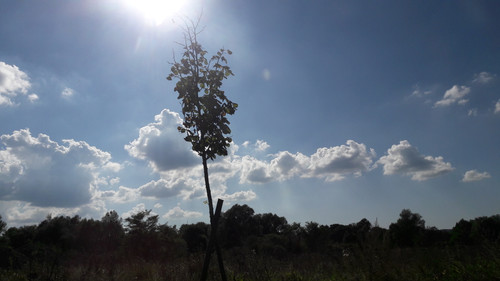 Landscape; Publicdomain; Cc0; Freeimage;.jpg