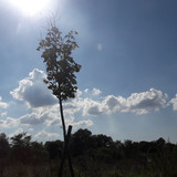 Landscape; Publicdomain; Cc0; Freeimage;