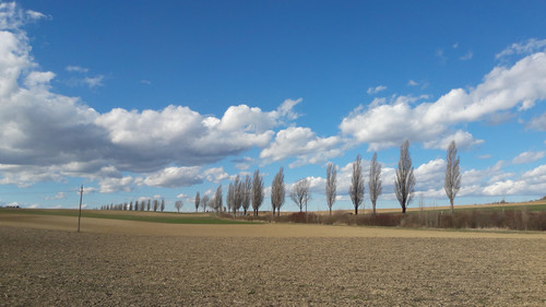 Landscape; Publicdomain; Cc0; Freeimage;.jpg