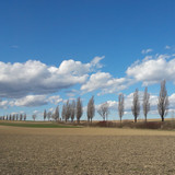 Landscape; Publicdomain; Cc0; Freeimage;