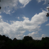 Landscape; Publicdomain; Cc0; Freeimage;