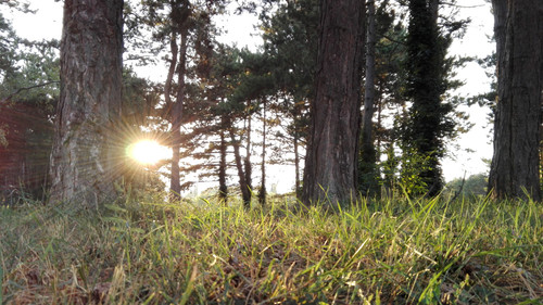 Flare; Publicdomain; Cc0; Freeimage;.jpg