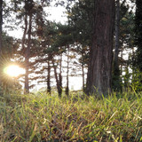 Flare; Publicdomain; Cc0; Freeimage;