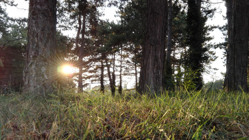 Flare; Publicdomain; Cc0; Freeimage;.jpg