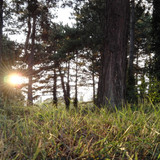 Flare; Publicdomain; Cc0; Freeimage;