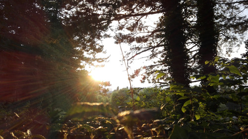 Flare; Publicdomain; Cc0; Freeimage;.jpg