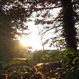 Flare; Publicdomain; Cc0; Freeimage;