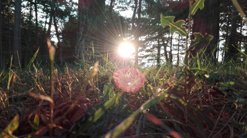 Flare; Publicdomain; Cc0; Freeimage;.jpg