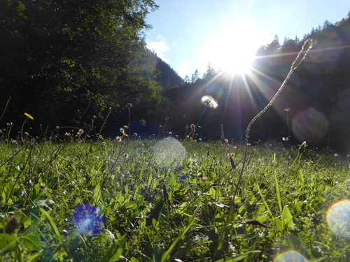 Flare; Publicdomain; Cc0; Freeimage;.jpg