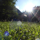 Flare; Publicdomain; Cc0; Freeimage;