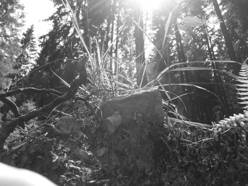 Flare; Publicdomain; Cc0; Freeimage;.jpg