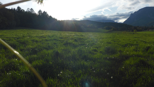 Flare; Publicdomain; Cc0; Freeimage;.jpg