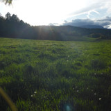 Flare; Publicdomain; Cc0; Freeimage;