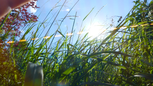 Light Flares Reflex Cinematic Publicdomain (56).jpg