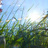 Light Flares Reflex Cinematic Publicdomain (56)