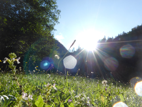 Flare; Publicdomain; Cc0; Freeimage;.jpg