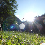 Flare; Publicdomain; Cc0; Freeimage;