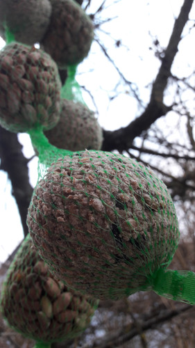 Food; Publicdomain; Cc0; Freeimage;